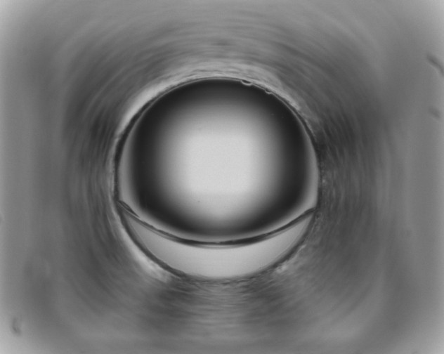 X0000095961523200801111351