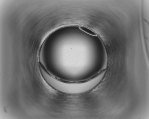 X0000095961524200801111351