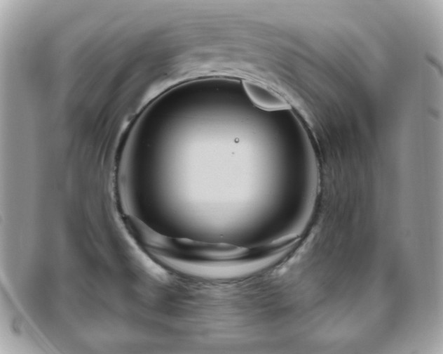 X0000095961525200801111351