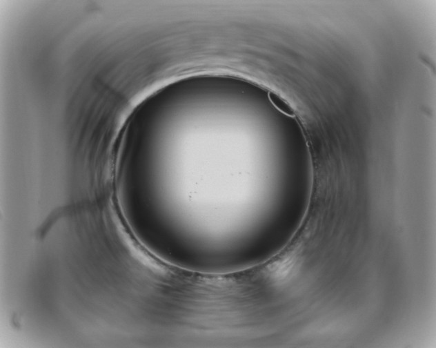 X0000095961526200801111351