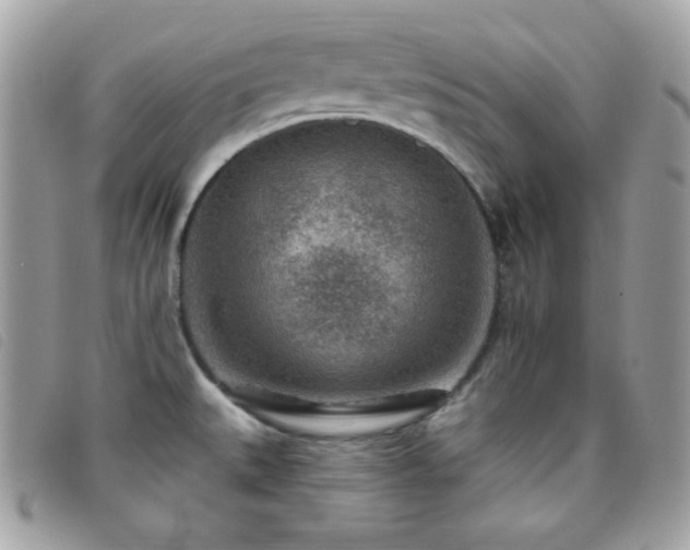 X0000095961527200801111351