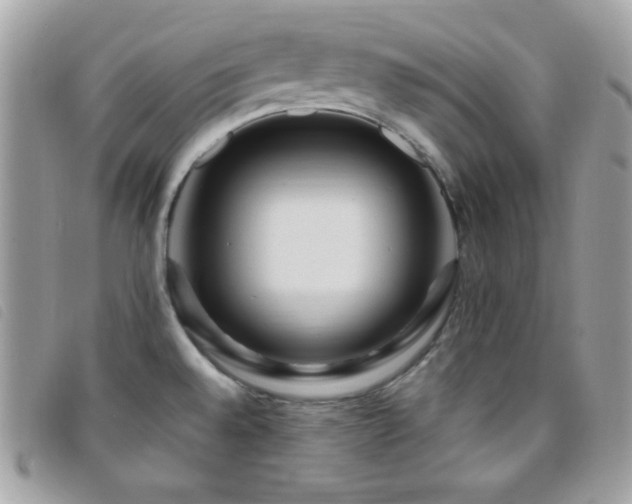 X0000095961528200801111351