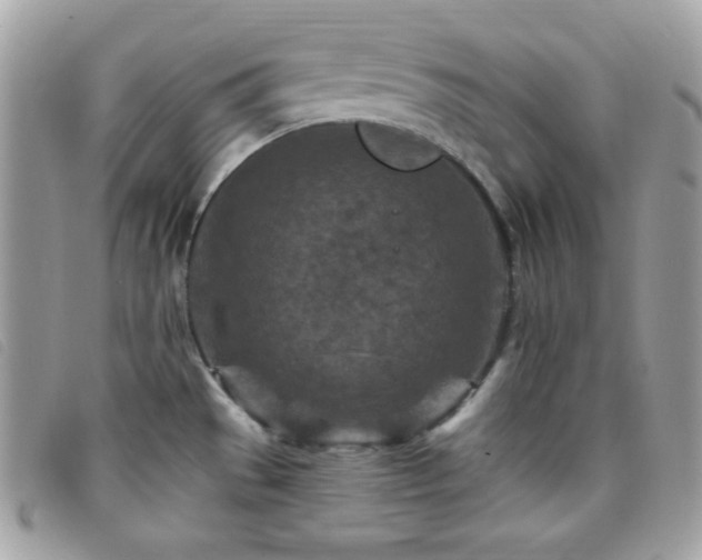 X0000095961529200801111351