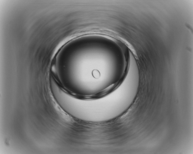 X0000095961530200801111351