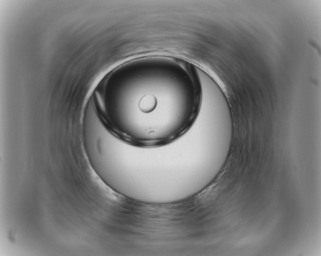 X0000095961532200801111351