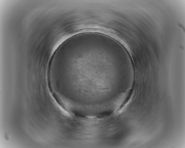 X0000095961533200801111351