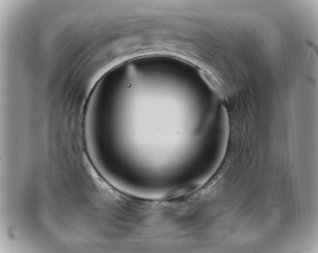 X0000095961534200801111351