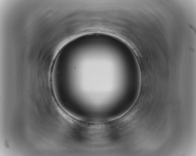 X0000095961535200801111351