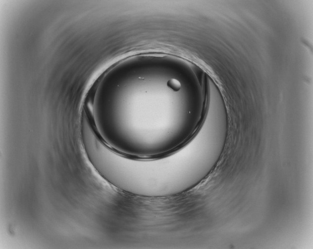 X0000095961536200801111351