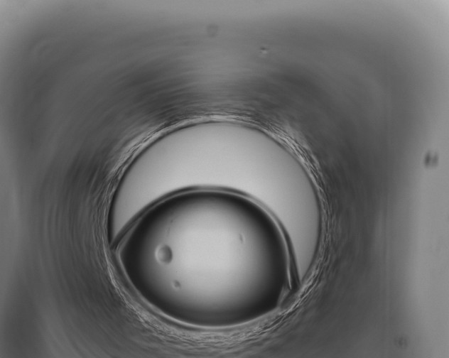 X0000095960001200801181456