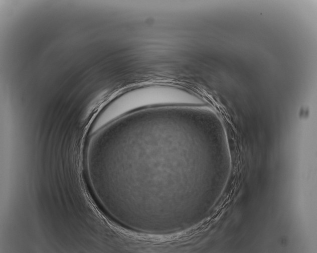 X0000095960002200801181456