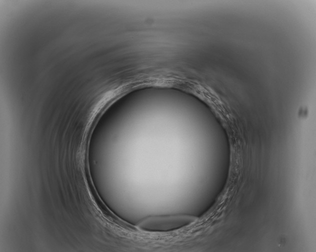 X0000095960003200801181456