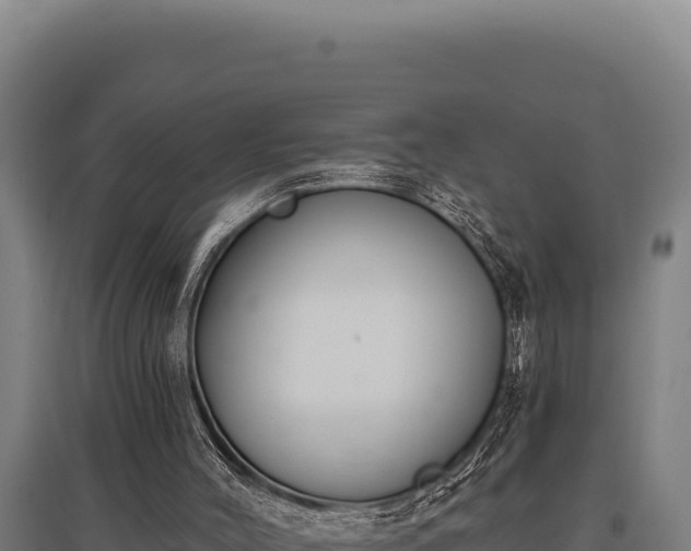 X0000095960004200801181456