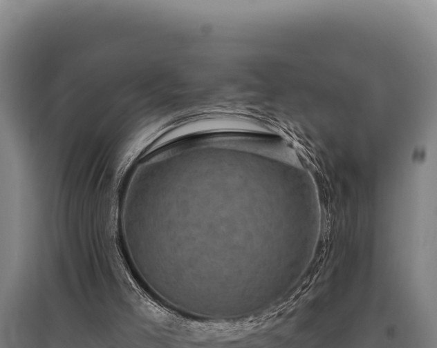 X0000095960005200801181456