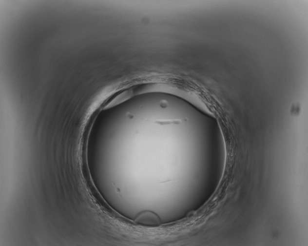 X0000095960006200801181456