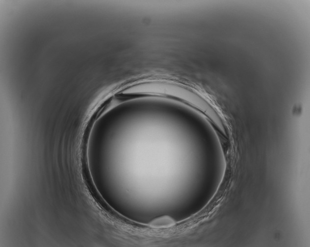 X0000095960007200801181456