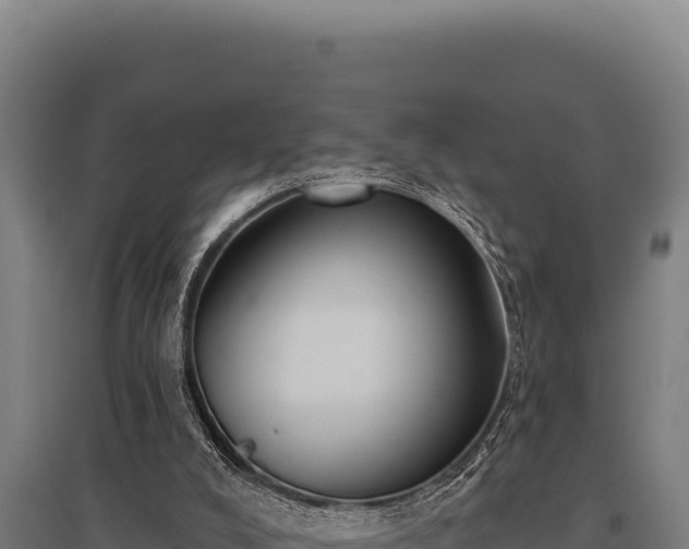 X0000095960008200801181456