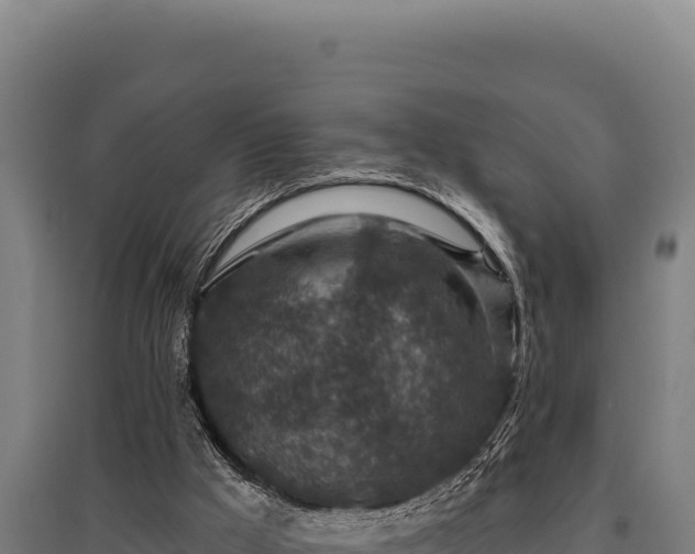 X0000095960009200801181456