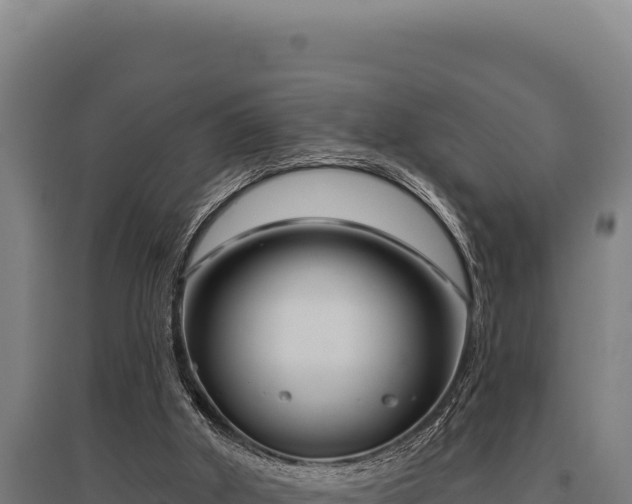 X0000095960010200801181456