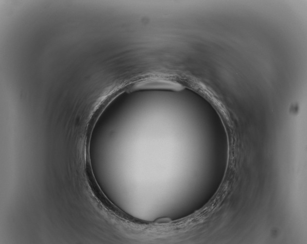 X0000095960011200801181456