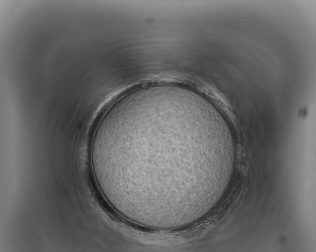 X0000095960012200801181456