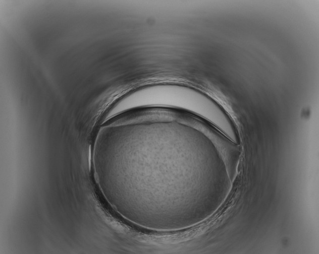 X0000095960013200801181456