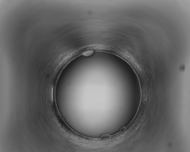 X0000095960014200801181456