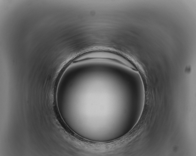 X0000095960015200801181456