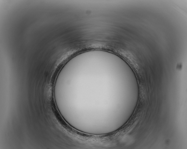 X0000095960016200801181456