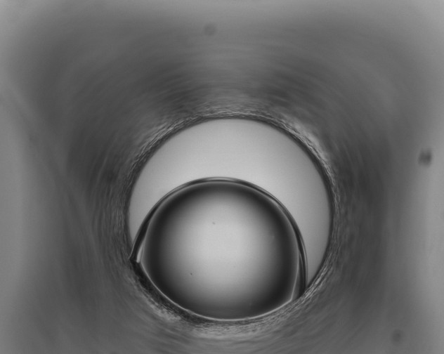 X0000095960017200801181456