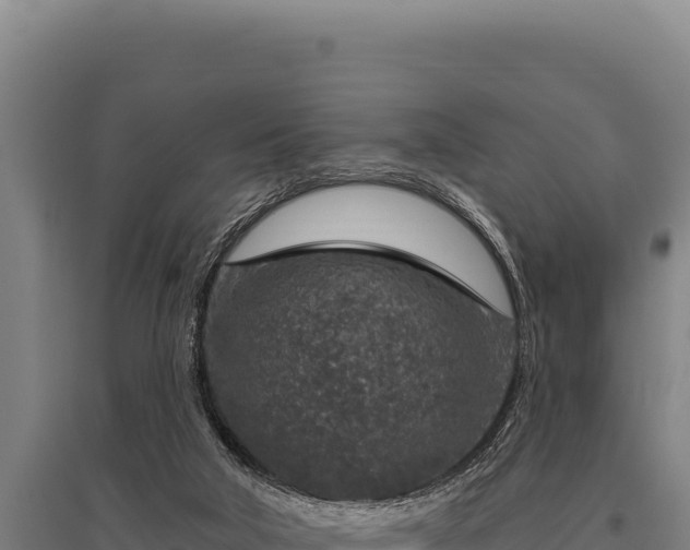 X0000095960018200801181456