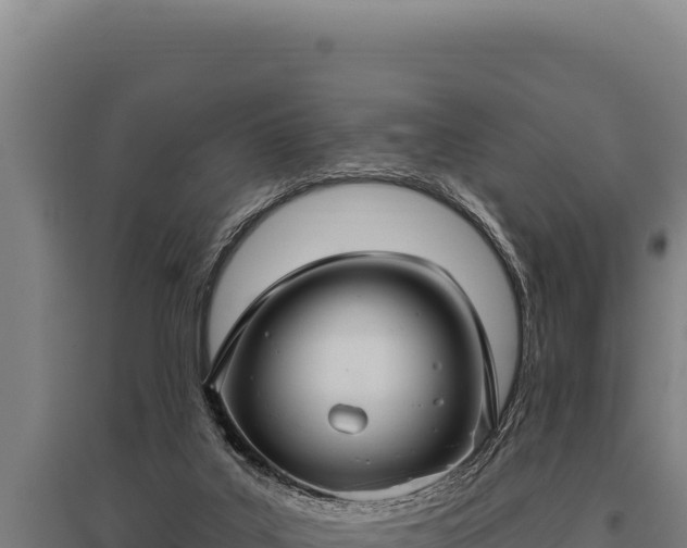 X0000095960019200801181456