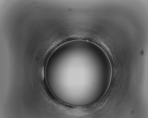 X0000095960020200801181456