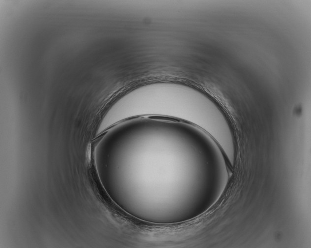 X0000095960021200801181456