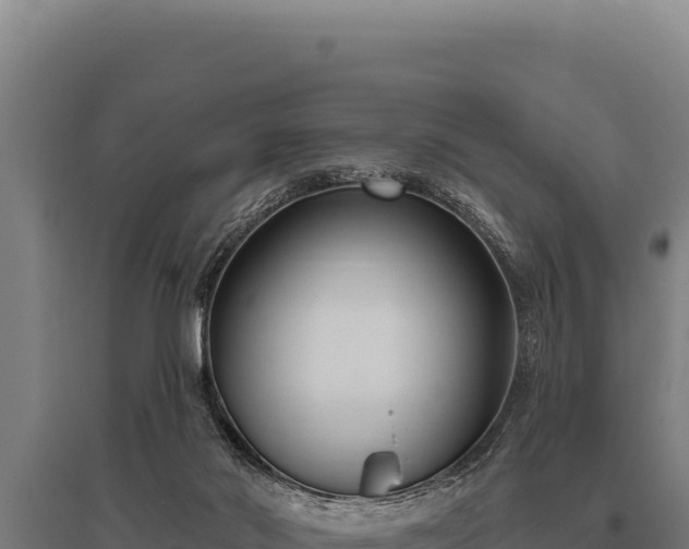 X0000095960022200801181456