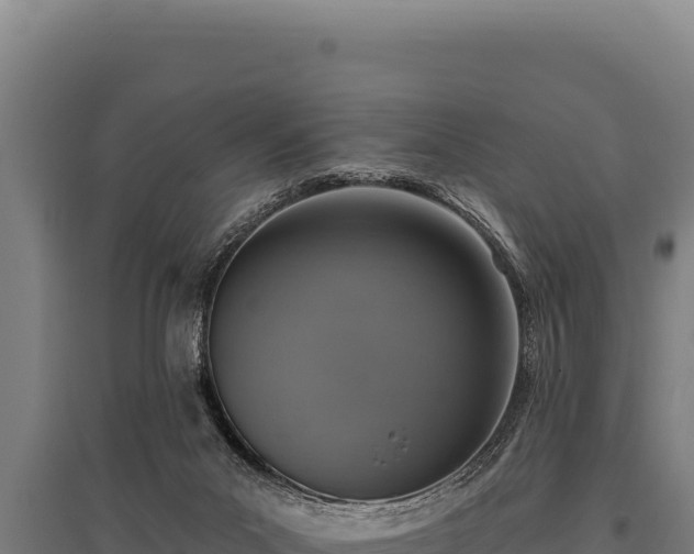 X0000095960023200801181456