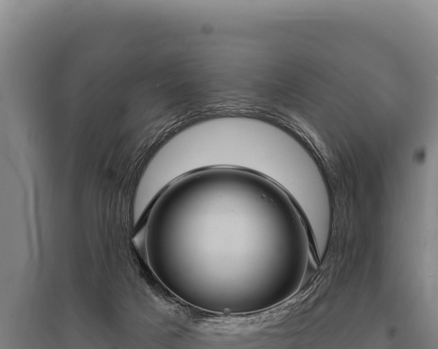 X0000095960025200801181456