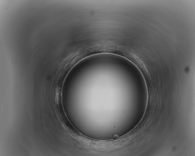 X0000095960026200801181456