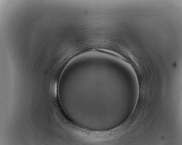 X0000095960027200801181456