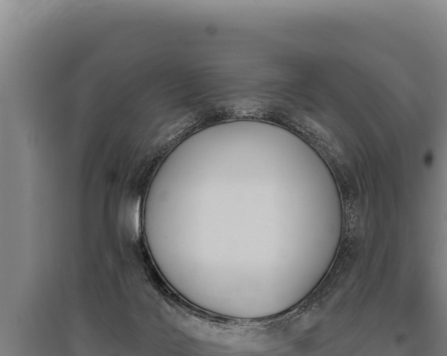 X0000095960028200801181456