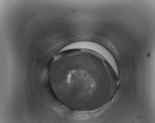 X0000095960029200801181456