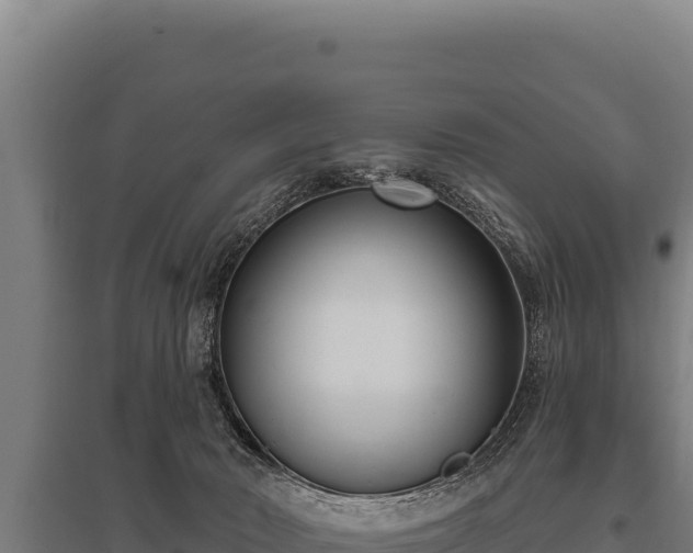 X0000095960030200801181456