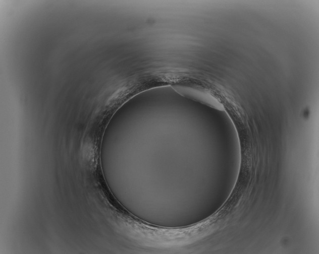 X0000095960031200801181456