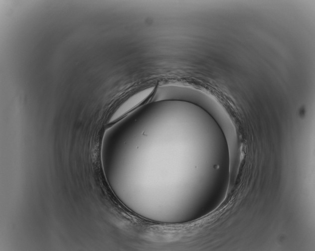 X0000095960033200801181455