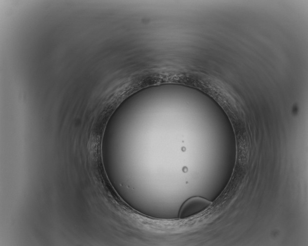 X0000095960034200801181455