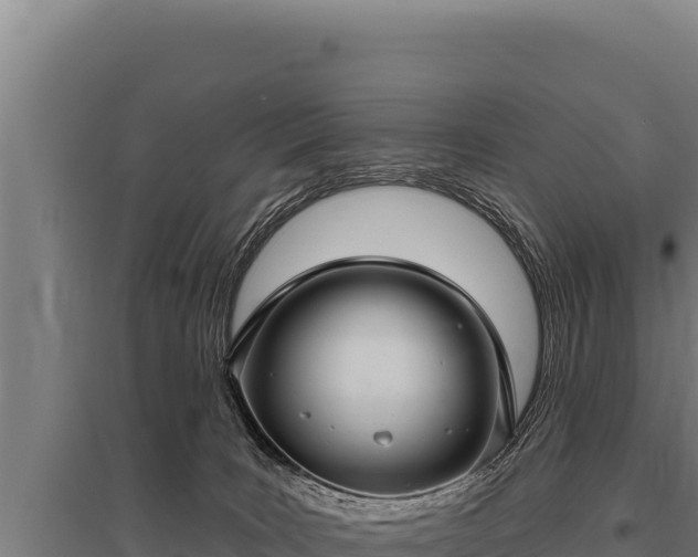 X0000095960035200801181455