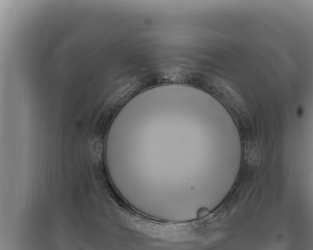 X0000095960036200801181455