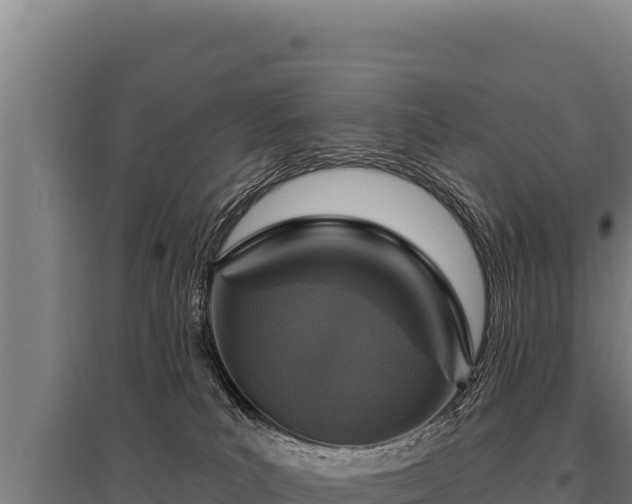 X0000095960039200801181455