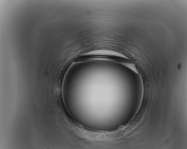 X0000095960040200801181455