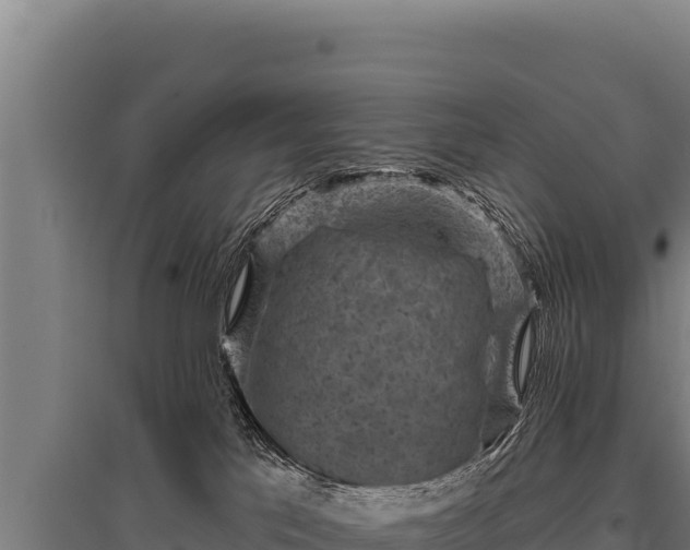 X0000095960041200801181455